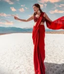 Red Chiffon Saree With Embroidered Blouse