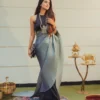 Black And Grey Pleated Saree 1