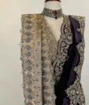 Pure gold tissue saree with velvet shawl 3