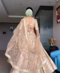 Golden Tissue Lehenga 3