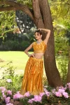 Mashru silk mustard lehenga with embroidered organza dupatta 4