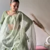 Mehendi coloured luckwoni lehenga price 2