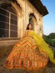 Yellow Embroidered Lehenga 2