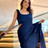 Navy Blue Pleated Saree 2