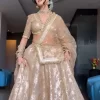 Golden Tissue Lehenga 2