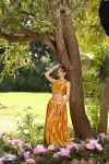 Mashru silk mustard lehenga with embroidered organza dupatta 2
