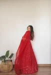 Red mirror lehenga with hand embroidered mirror dupatta 3