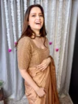 Golden Brown Saree with hand embroidered blouse 6