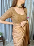 Golden Brown Saree with hand embroidered blouse 2