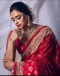 Red Jacquard Banarasi Saree With All Over Embroidery 5