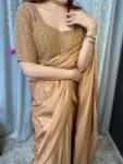 Golden Brown Saree with hand embroidered blouse 4
