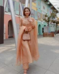 Light Brown Organza Suit 1