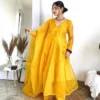 Yellow Organza Suit