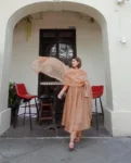 Light Brown Organza Suit 3