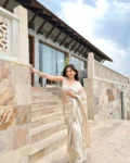 Tan gold laser georgette saree with oat golden blouse 3