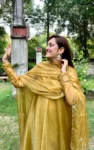 Mehendi Organza Anarkali Suit 3