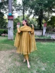 Mehendi Organza Anarkali Suit 2